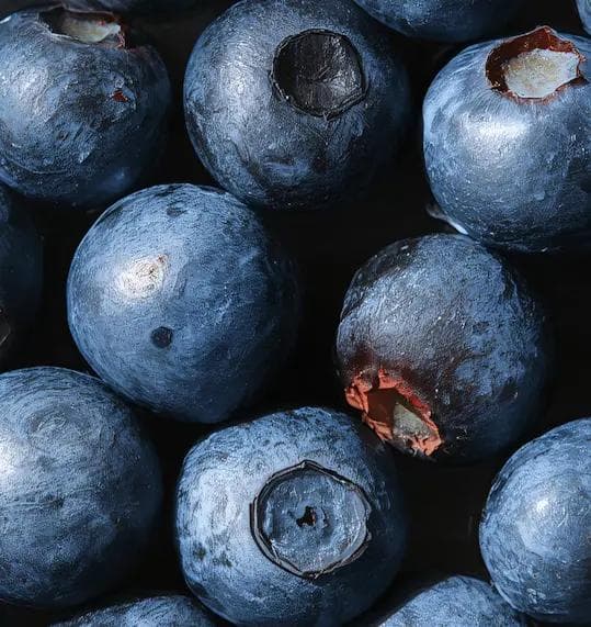 blueberry flavor